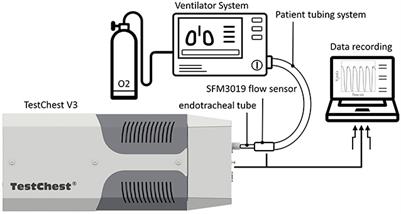 Testing of pandemic ventilators under early and agile development